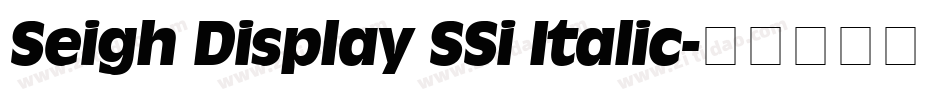 Seigh Display SSi Italic字体转换